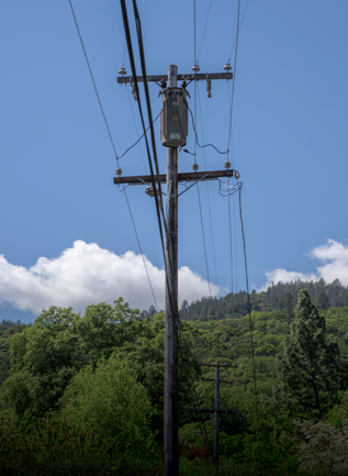 Utility poles in Ukiah Valley