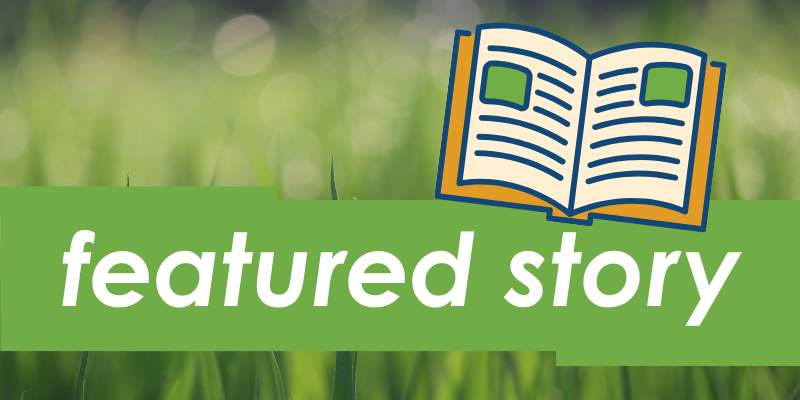 Featured Story graphic